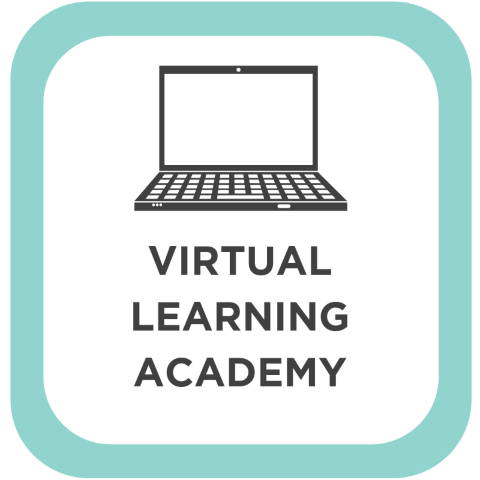 Virtual Learning Academy